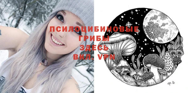 соль ск Алексин