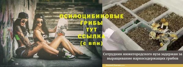 jwh Алзамай