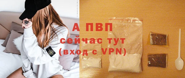 соль ск Алексин