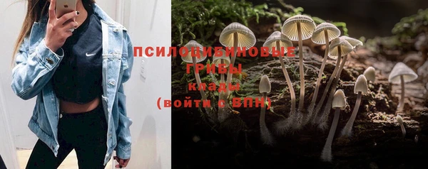 тгк Алексеевка