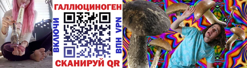 KRAKEN маркетплейс  Нестеров  Псилоцибиновые грибы Cubensis 